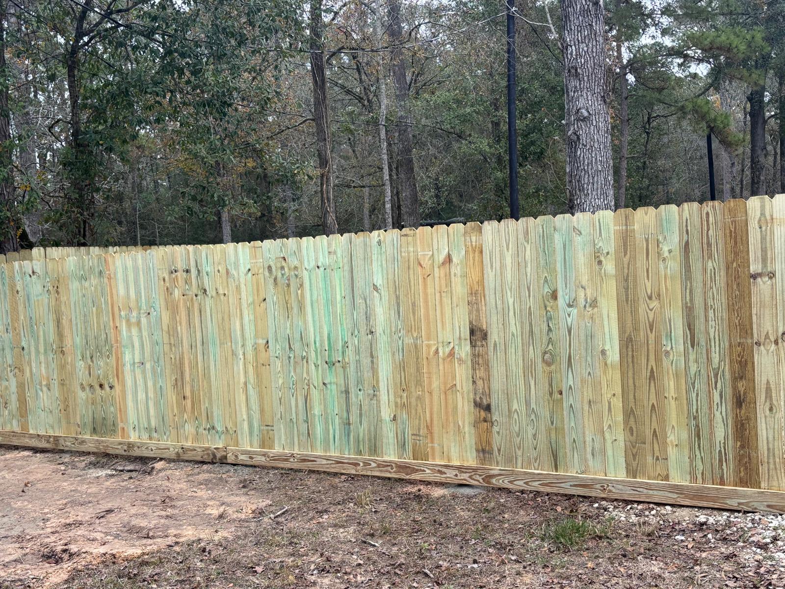 Fences 002